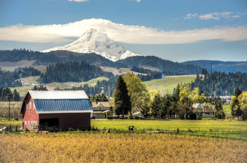 8. Oregon